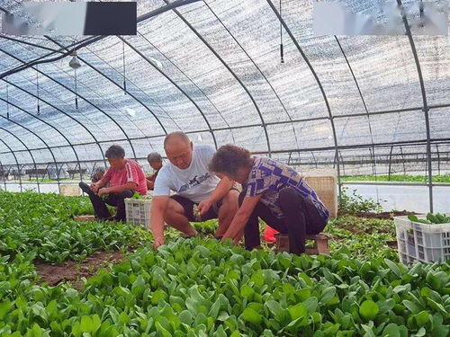 秋季：金秋时节，收获满满