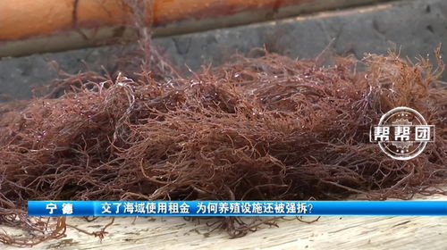 使用不当的饲料原料真的会导致养殖户血本无归吗？