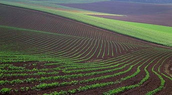 云南安宁的绿意盎然：