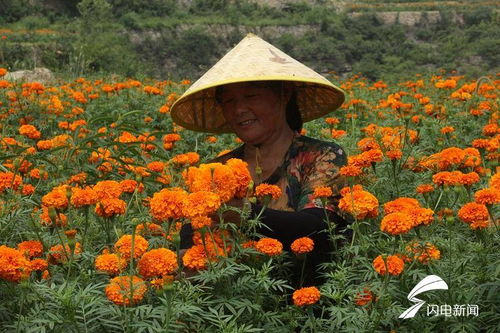 价格行情与收入计算