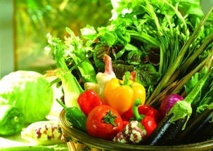 判断菜苦就认定有农药残留，这种观点对吗？