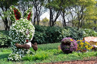 园林花卉的魅力所在