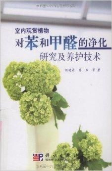 室内植物净化指南中，哪些植物最适合去除甲醛和苯