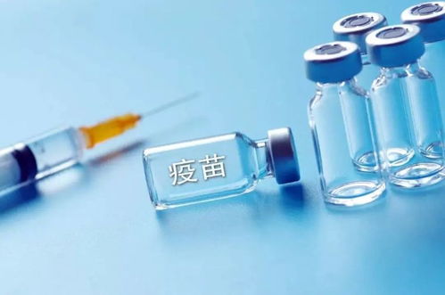 疫苗免疫效果不一，抗体水平参差不齐