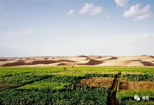 适合的草种，让土壤焕发生机