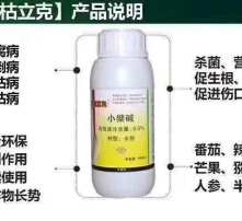 茎基腐病怎么治？这几款药能快速帮你解决烦恼