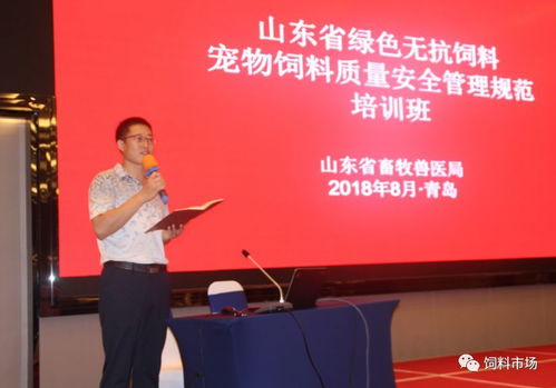 青岛饲料出口流程是什么？青岛海派宠物食品有限公司的饲料出口业务如何？