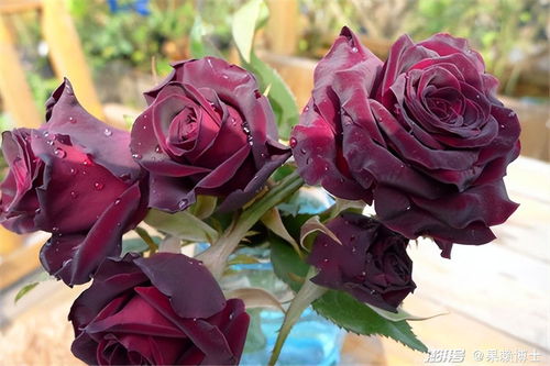 适合的气候条件