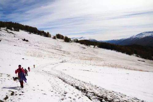 防寒措施一：涂白处理