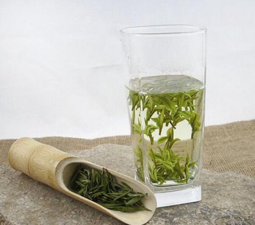 白茶品种丰富，功效独特