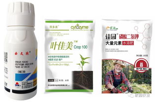 多种药物， 交替使用