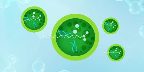 加强农业养殖生物安全，严控病原微生物传播