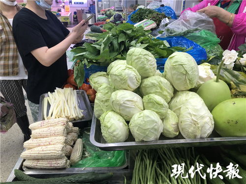 大石桥市芸豆价格跌至白菜价，市场供应过剩