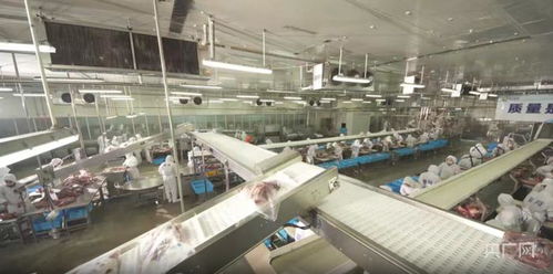 长春皓月饲料有限公司的饲料质量怎么样？