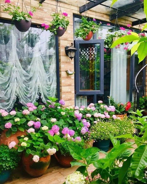 江南植物，五彩斑斓