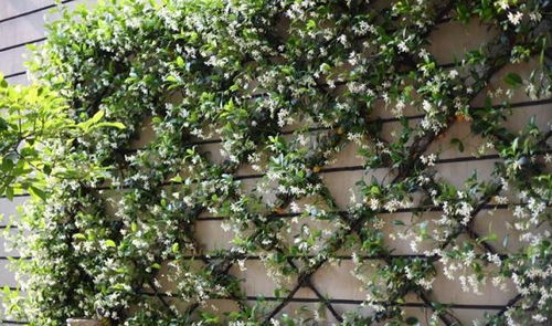 2025年林业调查数据显示：