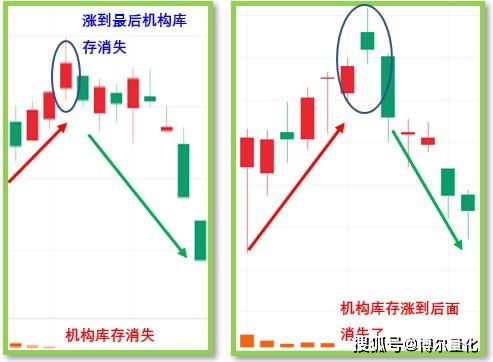 成本真相：亩投入破万的对比账