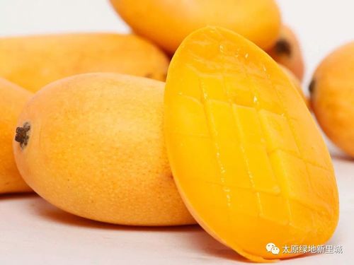 芒果在夏季成熟，此时食用最为美味
