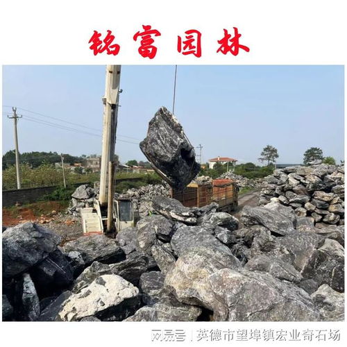 园林山石的独特魅力