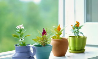 避坑提醒：网购