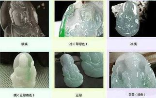 白玉兰种子如何培育？种植全流程解析详细步骤有哪些