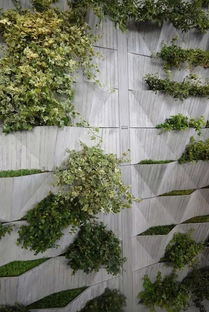 植物文创：自然与艺术的完美融合