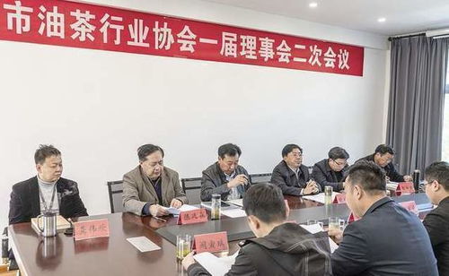 新县油茶产业协会2020年工作与油茶产业发展论坛