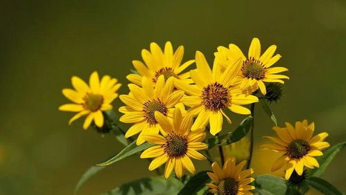 一、 老话儿新说：种草也有诀窍