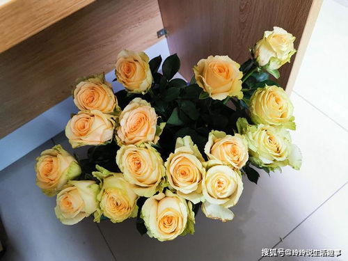 比玫瑰更惊艳的花卉
