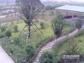 第一步：市场调研，选对苗子