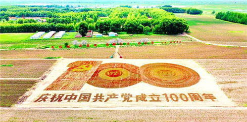 勤奋之花，盛开信念香，奋斗力量强！