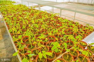 施工时有哪些注意？