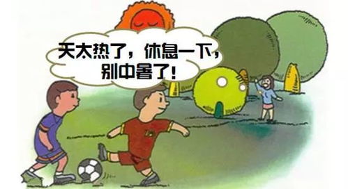猪中暑了应该怎么紧急处理和长期预防，有哪些有效的治疗措施和预防方法？