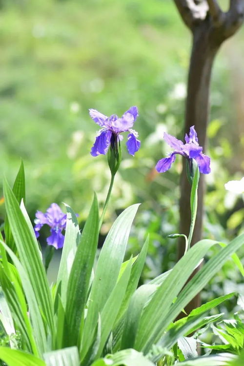 日常管理，不Neng少