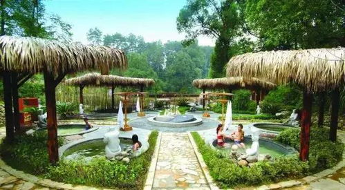 6. 温泉边的休闲时光