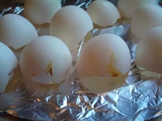 鸡蛋壳的神奇作用：让花儿梗美丽