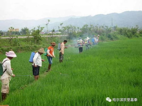 绿色农药引领未来