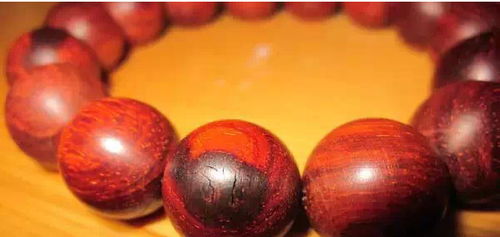 惯与海棠的价格探讨