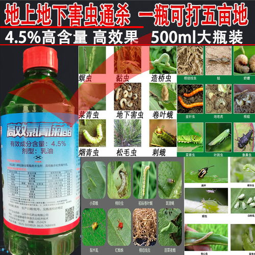 平安：隐患还是福音？