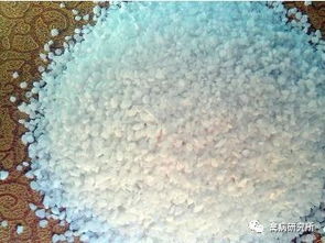 蛋鸡补钙饲料原料选石粉骨粉黄金配比，实测省15%成本，如何避开三大误区？
