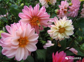 种子贮藏，这些方法要掌握