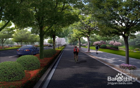 路边绿化带一般种植什么植物？