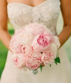 婚礼省钱神操作