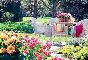 南方家里花园，种花攻略来啦！