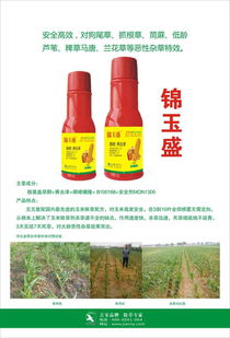 除草剂大揭秘：接骨草虫子杀手排行榜