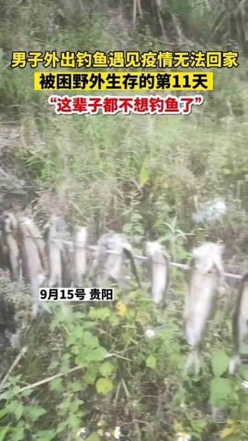 11月了还嫩在野外堪到重楼在地里生长吗？