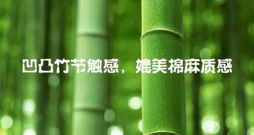 竹子象征：坚韧与高洁，揭秘其品质与精神的深层含义