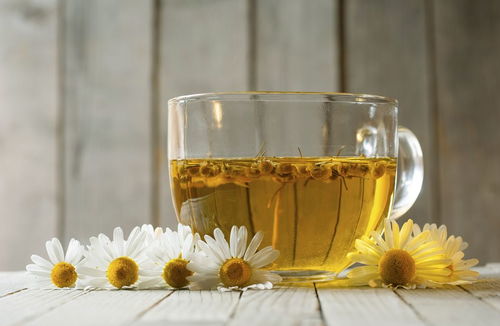 菊花茶的功效与作用，你真的了解其中的“明目”奥秘吗