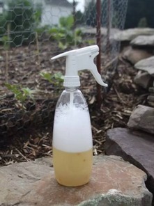 杀虫剂的使用方法