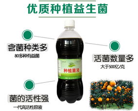 提高果蔬耐贮性小妙招